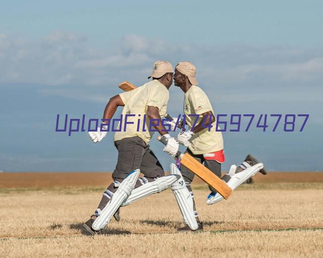 网飞动画《宝可梦礼宾部》首释预告：12.28独家开播